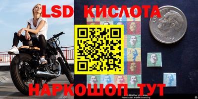 гашик Сланцы