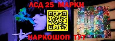 гашик Сланцы