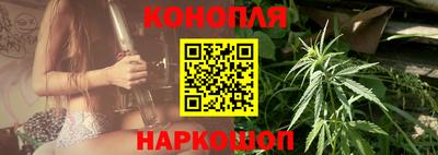 гашик Сланцы