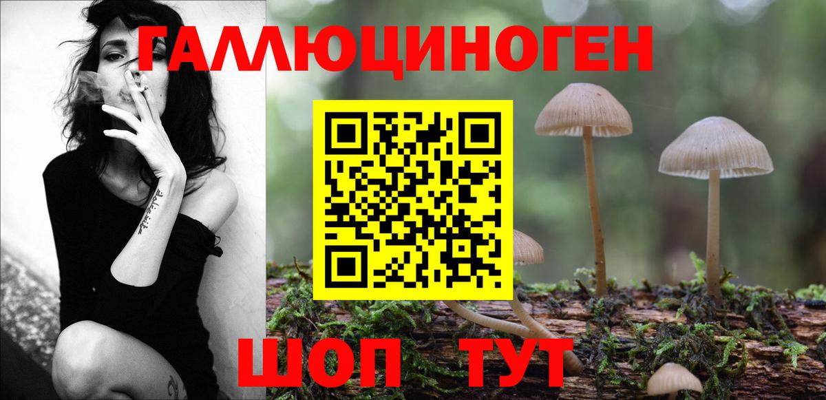 Чистополь  Псилоцибиновые грибы ЛСД  сколько стоит  Вход с VPN 