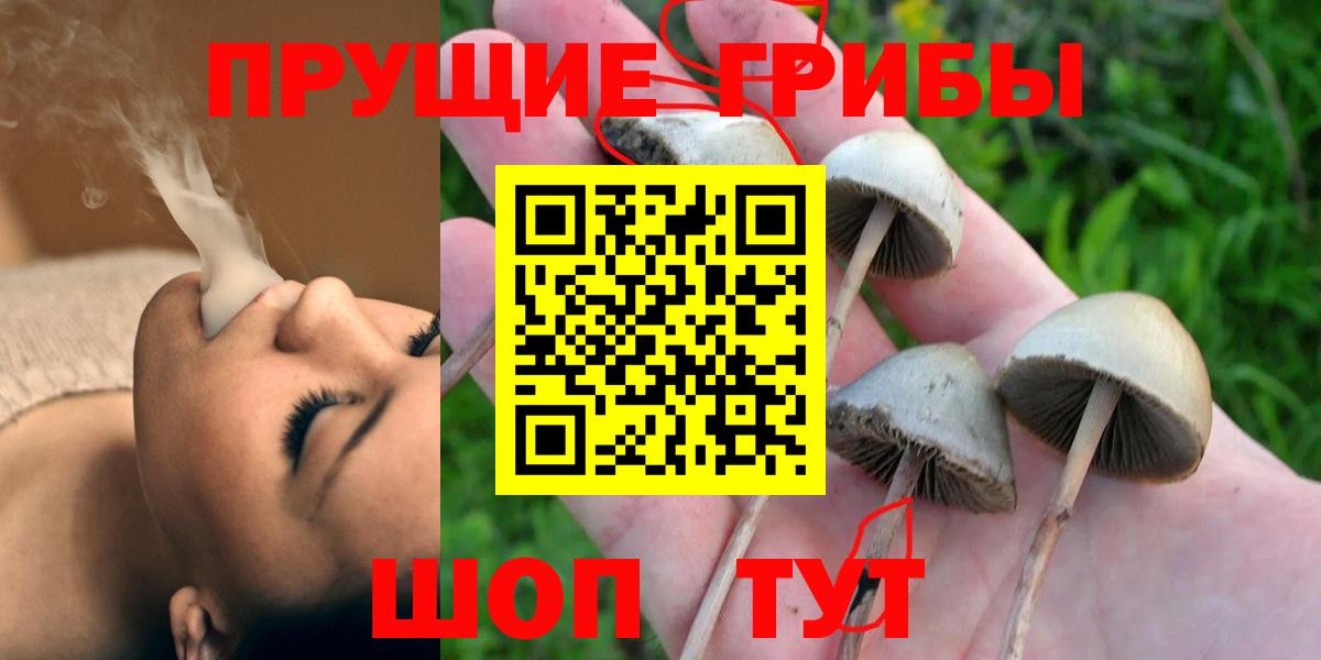 Псилоцибиновые грибы MAGIC MUSHROOMS Чистополь
